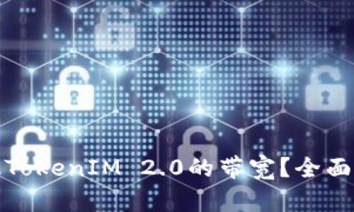 如何购买美国版TokenIM 2.0的带宽？全面指南与实用技巧