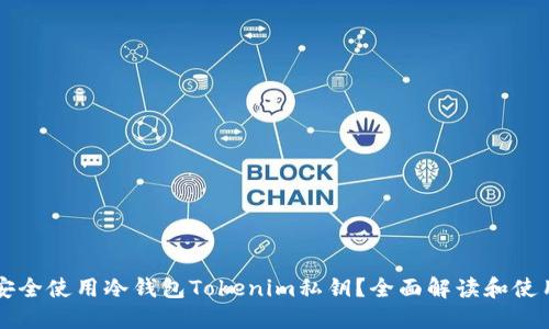 怎么安全使用冷钱包Tokenim私钥？全面解读和使用指南