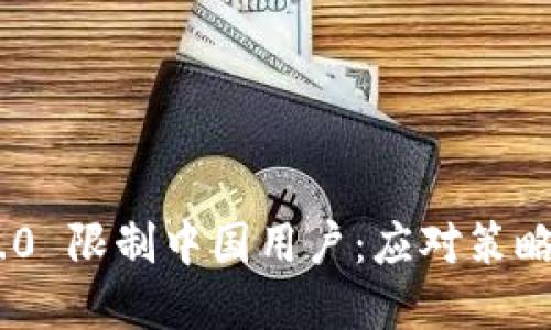 Tokenim 2.0 限制中国用户：应对策略与解决方案