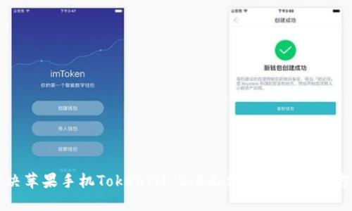 解决苹果手机TokenIM 2.0无法联网的最佳方法