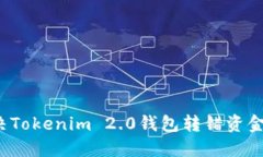 如何解决Tokenim 2.0钱包转错资金的问题？