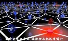 加密货币的今天：在波动与机遇中前行