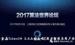 大额资金在TokenIM 2.0上安全吗？深度解析与用户体