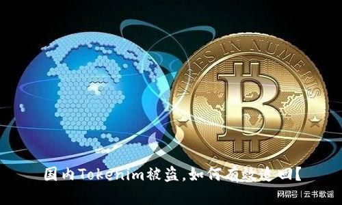 国内Tokenim被盗，如何有效追回？