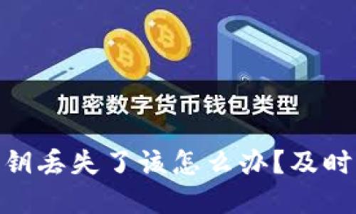 Tokenim 2.0安全密钥丢失了该怎么办？及时应对措施与解决方案