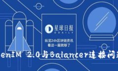 ### TokenIM 2.0与Balancer连接问题解决指南
