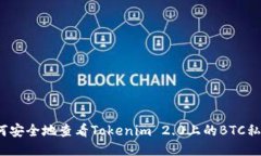 如何安全地查看Tokenim 2.0上的BTC私钥？
