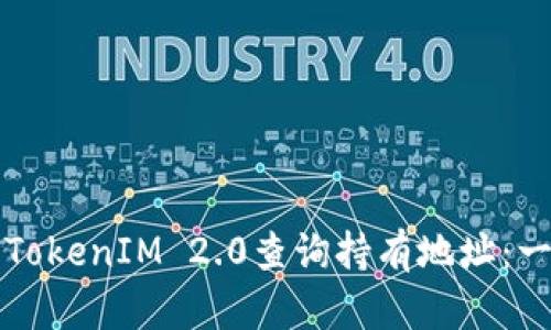 如何使用TokenIM 2.0查询持有地址：一站式指导