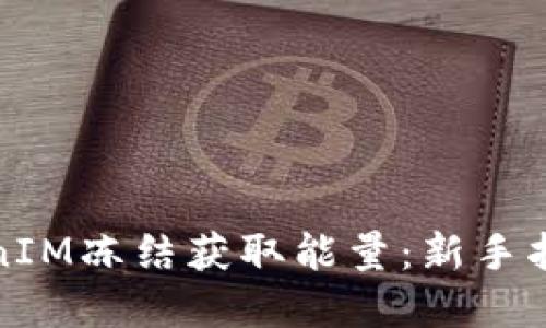 如何通过TokenIM冻结获取能量：新手指南与实用技巧