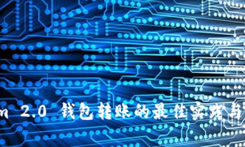 批量 Tokenim 2.0 钱包转账的最佳实践与常见问题解析