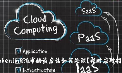 Tokenim2.0币被盗后该如何处理？即时应对指南