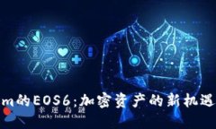 Tokenim的EOS6：加密资产的新机遇与挑战