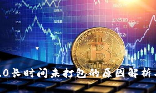 TokenIM2.0长时间未打包的原因解析与解决方案