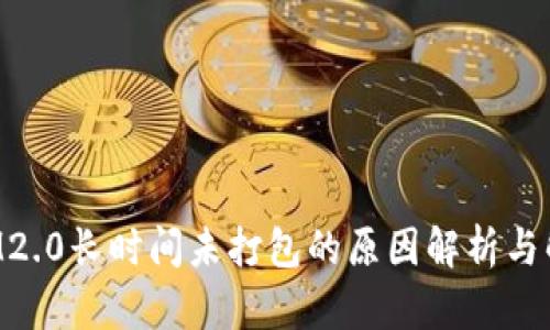 TokenIM2.0长时间未打包的原因解析与解决方案