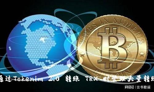 如何通过Tokenim 2.0 转账 TRX 时管理大量转账记录