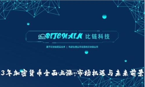 2023年加密货币全面上涨：市场机遇与未来前景分析