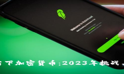 探索当下加密货币：2023年挑战与机遇