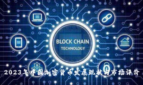 2023年中国加密货币发展现状与市场评价