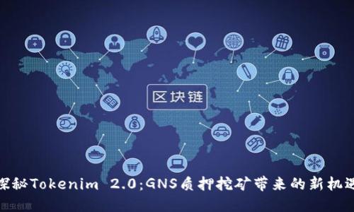 探秘Tokenim 2.0：GNS质押挖矿带来的新机遇