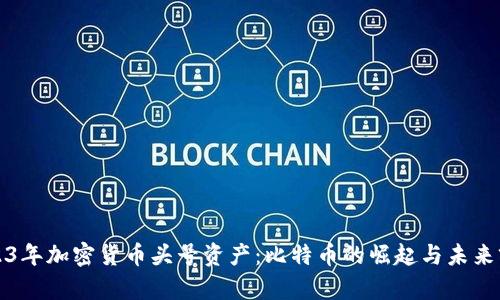 2023年加密货币头号资产：比特币的崛起与未来前景