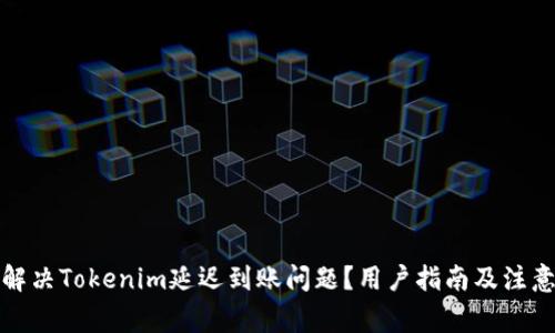 如何解决Tokenim延迟到账问题？用户指南及注意事项
