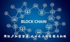 滑铁卢加密货币：风口之上的逆转与机遇