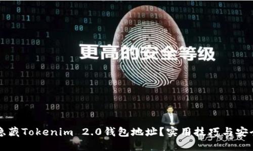 如何隐藏Tokenim 2.0钱包地址？实用技巧与安全指南