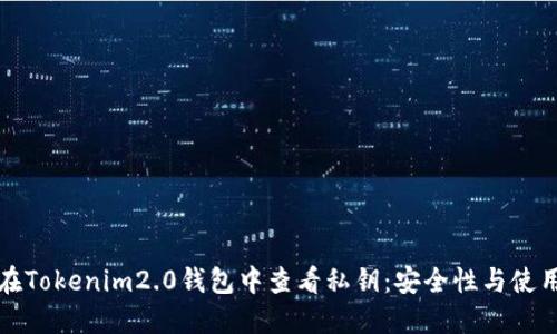 如何在Tokenim2.0钱包中查看私钥：安全性与使用指南