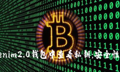 如何在Tokenim2.0钱包中查看私钥：安全性与使用指南