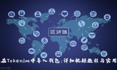 如何在Tokenim中导入钱包：详细视频教程与实用技