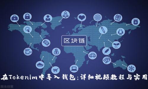 如何在Tokenim中导入钱包：详细视频教程与实用技巧