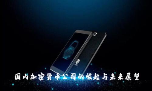 国内加密货币公司的崛起与未来展望