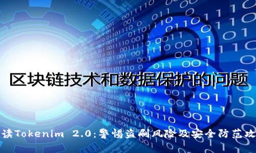 解读Tokenim 2.0：警惕盗刷风险及安全防范攻略