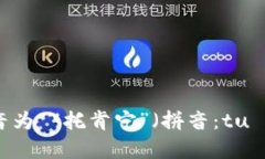 “Tokenim”的发音为 “托肯宁”（拼音：tuō kě