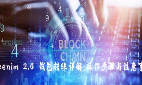 Tokenim 2.0 钱包转账详解：操作步骤与注意事项