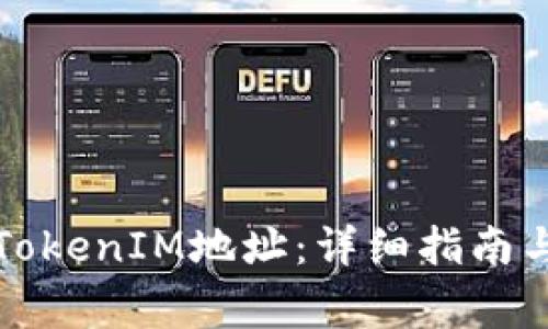 如何导入TokenIM地址：详细指南与常见问题