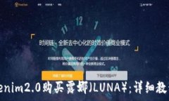   如何通过Tokenim2.0购买露娜（LUNA）：详细教程及