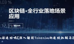 Tokenim能追踪吗？深入解析Tokenim的追踪机制与隐私