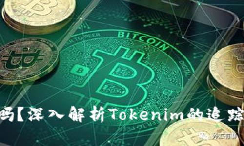 Tokenim能追踪吗？深入解析Tokenim的追踪机制与隐私保护