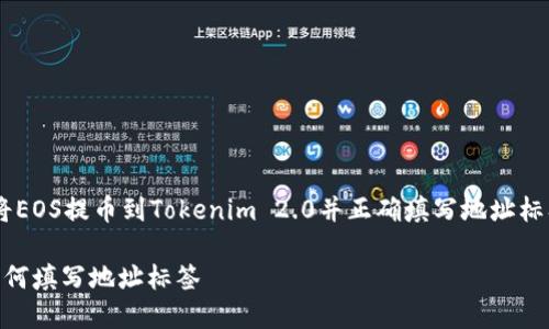 为了帮助您更好地理解如何将EOS提币到Tokenim 2.0并正确填写地址标签，以下是我为您准备的内容。

EOS提币到Tokenim 2.0时如何填写地址标签