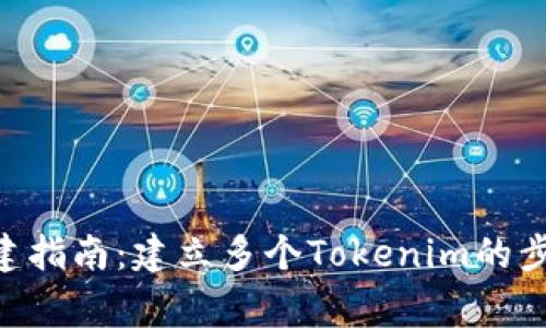 Tokenim的创建指南：建立多个Tokenim的步骤与注意事项
