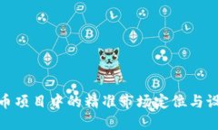 加密货币项目中的精准市场定位与设置策略