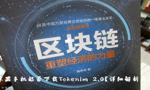 ### 苹果手机能否下载Tokenim 2.0？详细解析与使用体验