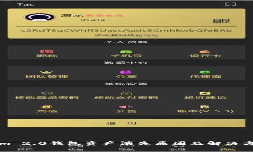 Tokenim 2.0钱包资产消失原因及解决方案解析