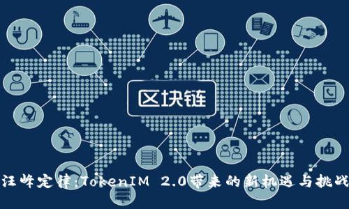 汪峰定律：TokenIM 2.0带来的新机遇与挑战