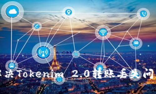 如何解决Tokenim 2.0转账丢失问题详解