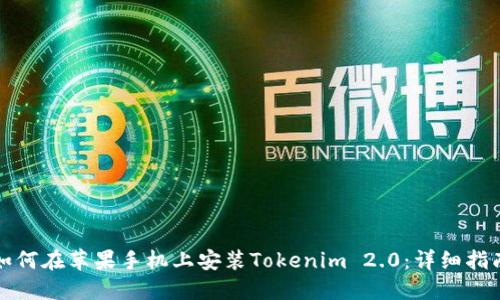 如何在苹果手机上安装Tokenim 2.0：详细指南