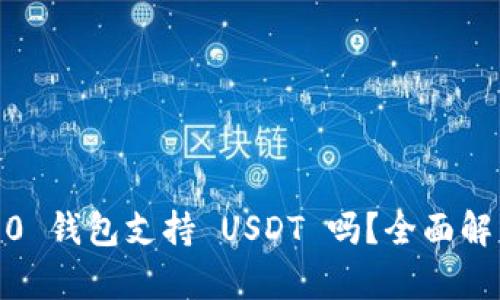  Tokenim 2.0 钱包支持 USDT 吗？全面解析及使用指南