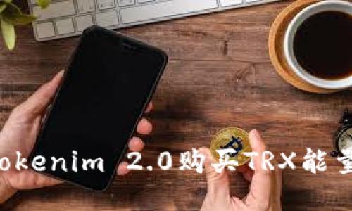 如何通过Tokenim 2.0购买TRX能量：详细指南