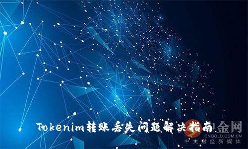 Tokenim转账丢失问题解决指南